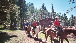 Trail ride at Beaubien