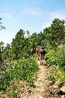 On the trail near the stone wall pass