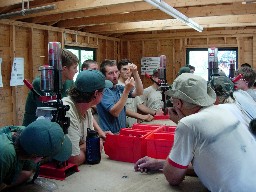 Shotgun shooting at Harlan