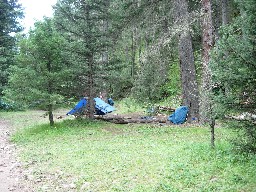 Porcupine Camp