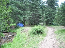 Porcupine Camp