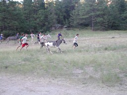 Burro racing at Harlan