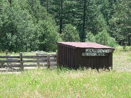 The paddock at Harlan Downs