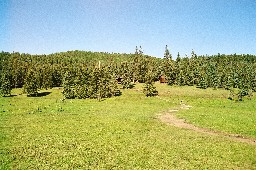 The main cabin at Beaubien from the corral