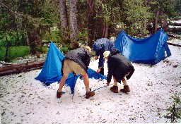 Wild Horse Camp