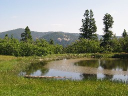 View of Rock Climbing Venue at Miner's Park from Crater Lake Camp