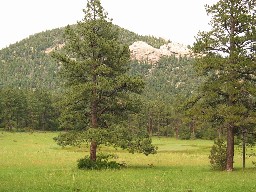 View of Rock Climbing Venue from Miner's Park Meadow