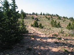 Nearing the summit of Mount Phillips