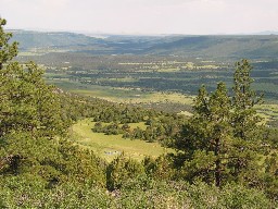 View of Toothache Springs Camp from Urraca Mesa
