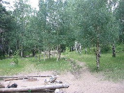 Campsite at Ute Meadows Camp