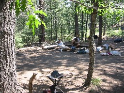 Campsite at Ponderosa Park