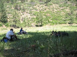 Cook Canyon Trail Camp