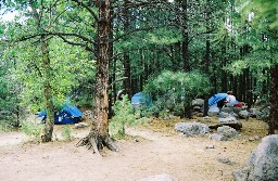 Campsite at Rayado River Camp