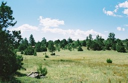 Toothache Springs Camp