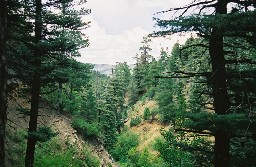 View from Upper Clarks Fork