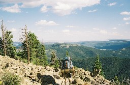 Tooth Ridge Trail