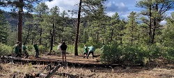 Raising Bear Bags