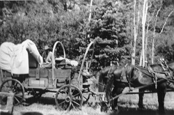 Slim preparing the chuck wagon - Circa 1941<br>In the early years expeditions were followed by a chuck-wagon much like cowboys on the old west were where staffers prepared meals