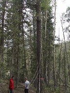 Bear Rope stuck on the cable