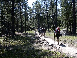 The trail through Aspen Springs