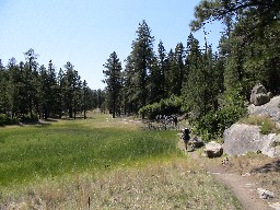 Hiking through Hidden Valley