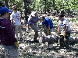 Cutting & Stacking at Cito
