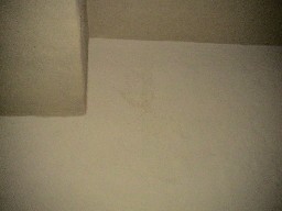 Handprint in the plaster at the Villa