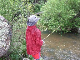 Fishing the Rayado at Crags