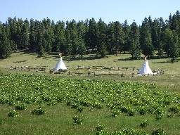 TeePees at Apache Springs