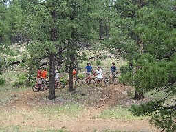 Mountain Biking at Whiteman Vega