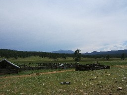 Corrals at Ring Place