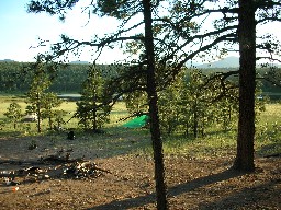 Deer Lake Camp