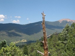 View of Miranda Camp & Baldy