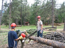 Conservation work at Cito