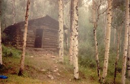 Cabin @ Ute Meadows