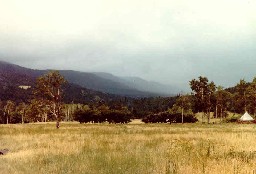 Miranda Camp from staff cabin