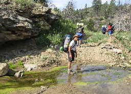 on the trail/road running down Metcalf Canyon (heading towards Old Camp)