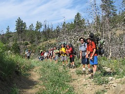 on the trail/road running down Metcalf Canyon (heading towards Old Camp)