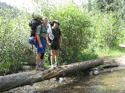 Footbridge/log across the Middle Ponil creek at Pueblano