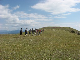 Walking north, looking for Julie Andrews, on the Alpine Meadow approaching Baldy