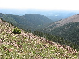 View from the ridgeline to the East Southeast (Copper Park (green meadow) is in the middle of the frame, Wilson Mesa (double lakes) is in the upper right)