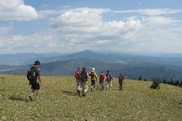 Heading east along the ridgeline to the first trees