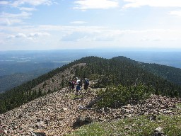 Continuing east and descending down to the (actual) treeline.  The trail doesn't start until you're in the trees