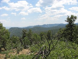 On the ridgeline trail (on the ridge between Dean Canyon and Turkey Creek Canyon), looking towards the Tooth and Tooth Ridge