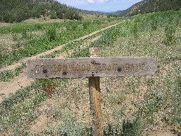 On the trail to Cottonwood