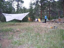 Cottonwood Campsite