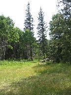 Campsite at Pueblano Ruins