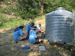 The well near Turkey Creek Camp