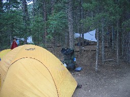 Campsite at Ponderosa Park