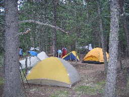 Campsite at Ponderosa Park